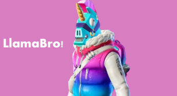 Fortnite adds its latest Llambro Crew Skin to the Item Shop